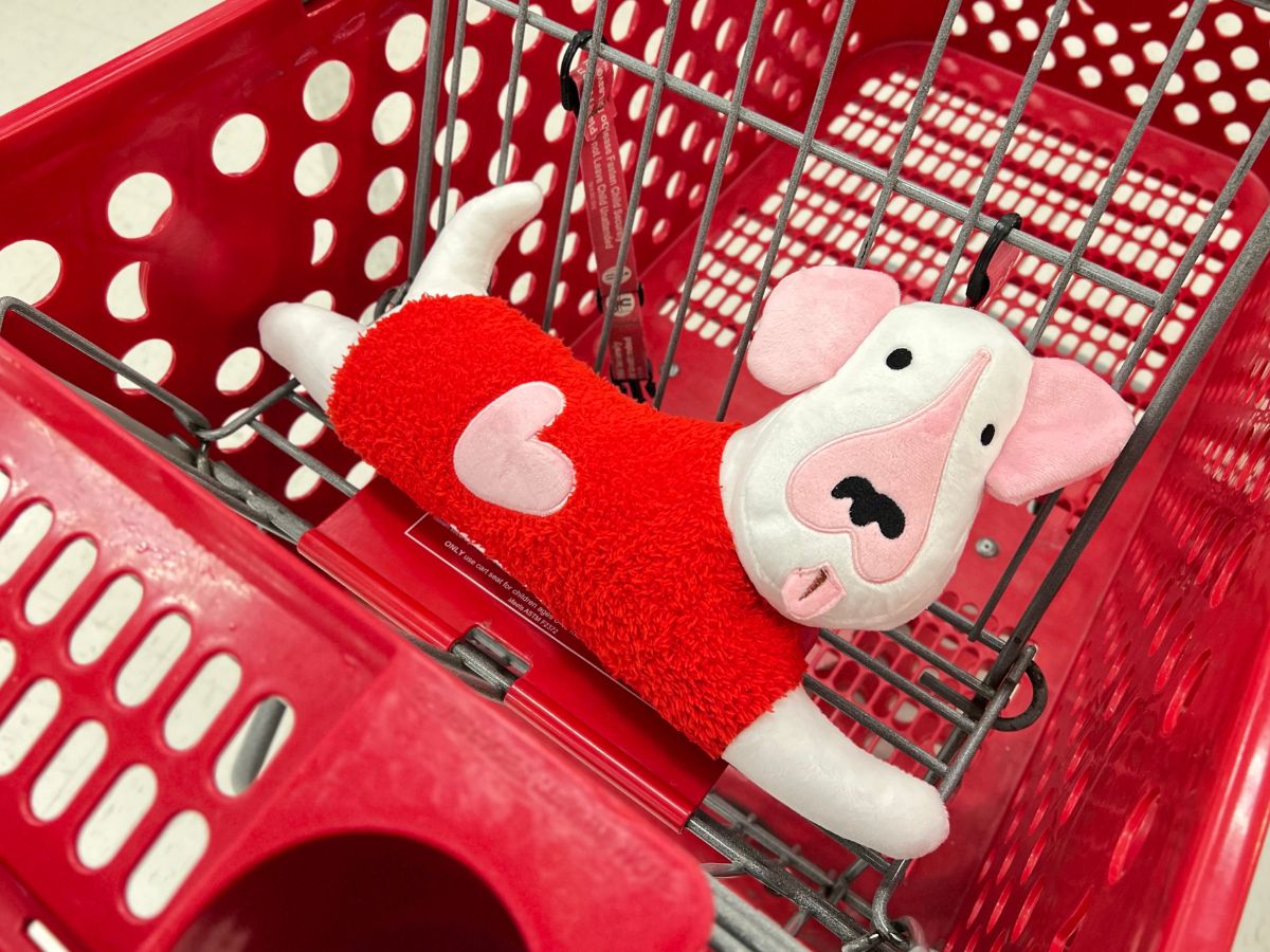 Target discount valentines blanket