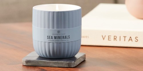 Buy One, Get TWO Free Chesapeake Bay Candles at Yankee Candle | Only $4.67 Each (Reg. $14+)