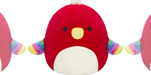 Up to 60% Off Squishmallows on Amazon | Paco Bird Only $15.99