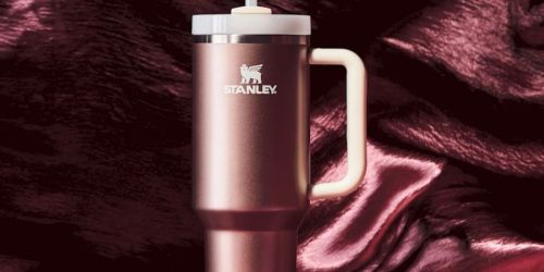 New Stanley Tumbler Colors Available NOW (Perfect Valentine’s Day Gift)