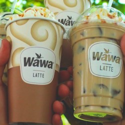 Wawa FREE Iced or Hot Latte for Rewards Members (Choose Any Size)
