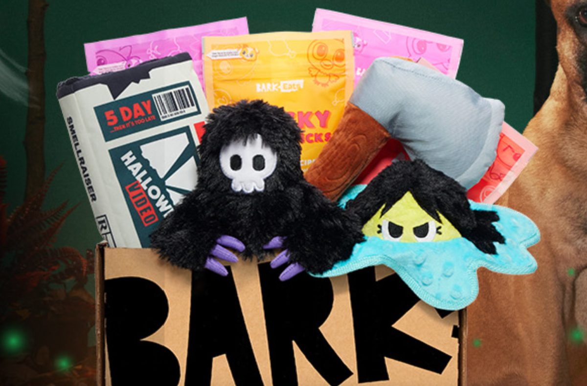 halloween barkbox with toys and treats