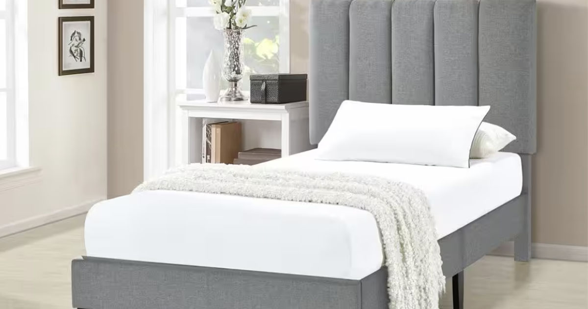 gray platfrom bed with white bedding set in bedroom