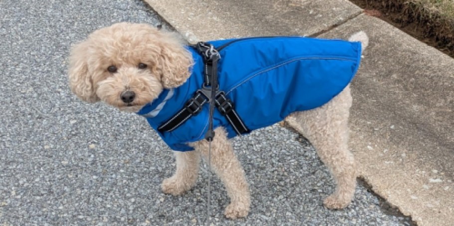 Pet Coat with Harness from $14.99 on Amazon (Regularly $30)