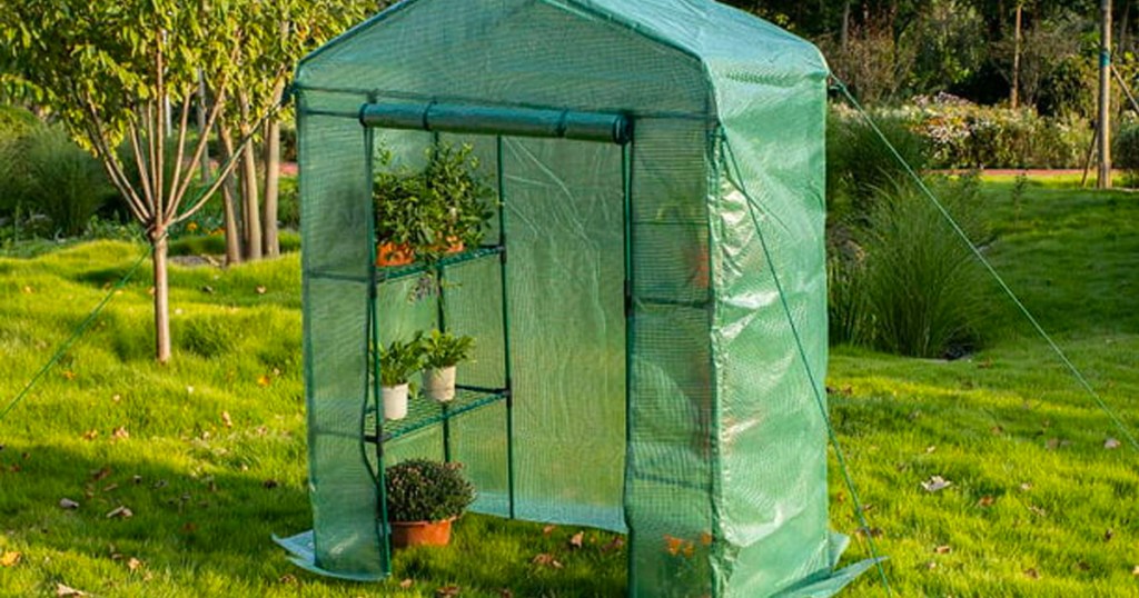 greenhouse with plants inside in backyard