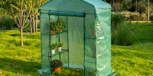 Walk-In Greenhouse Just $49 Shipped on Walmart.com | Includes Shelves for Pots