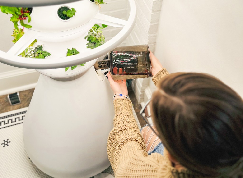 woman pouring water into hydroponic garden