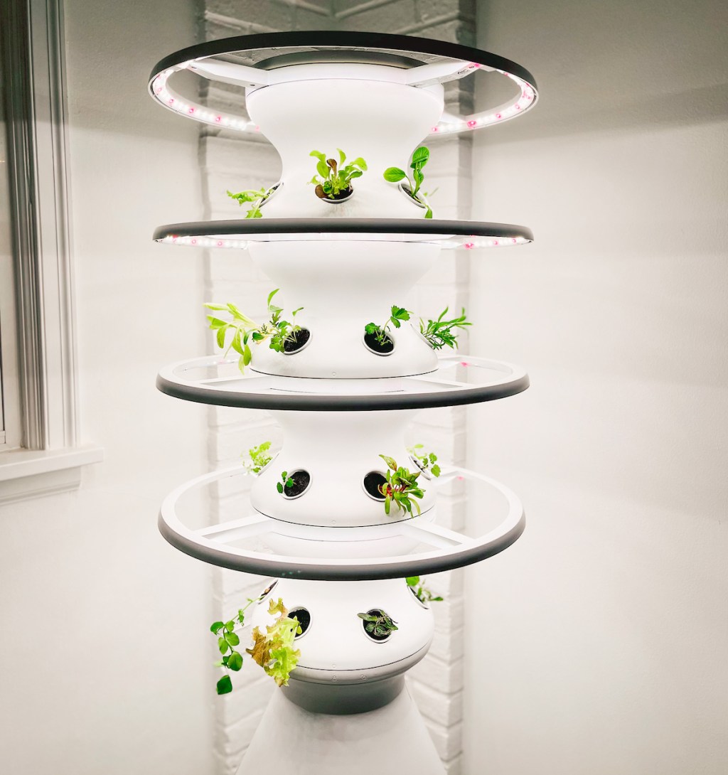 lettuce grow farmstand with plants and grow lights