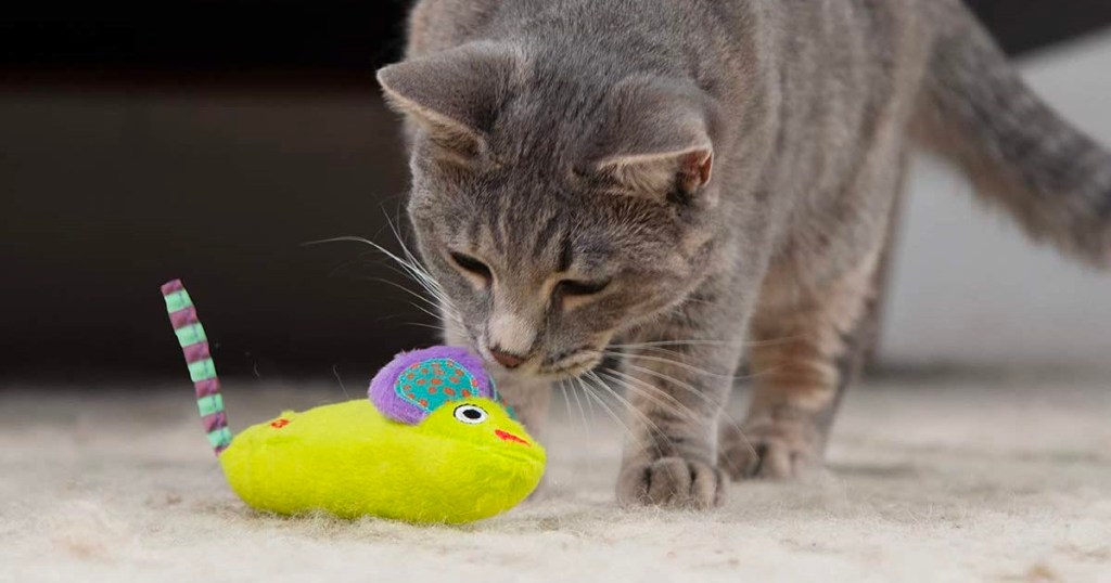 gray cat playing with green cat mouse toy