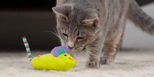 Up to 60% Off Petstages Cat Toys on Amazon | Catnip Mouse Toy Only $3 (Regularly $7.49)