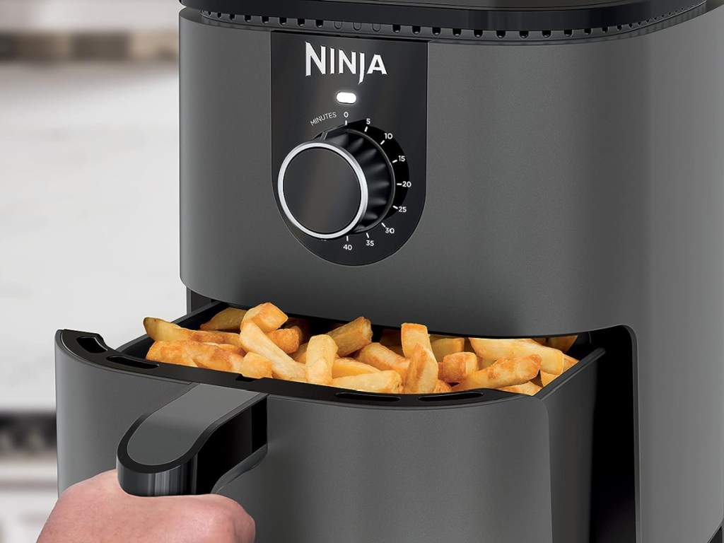 ninja mini with French fries inside