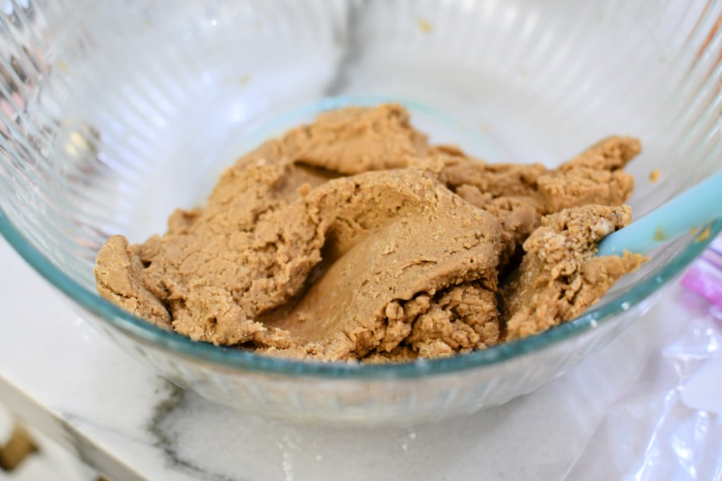 raw gingerbread cookie dough