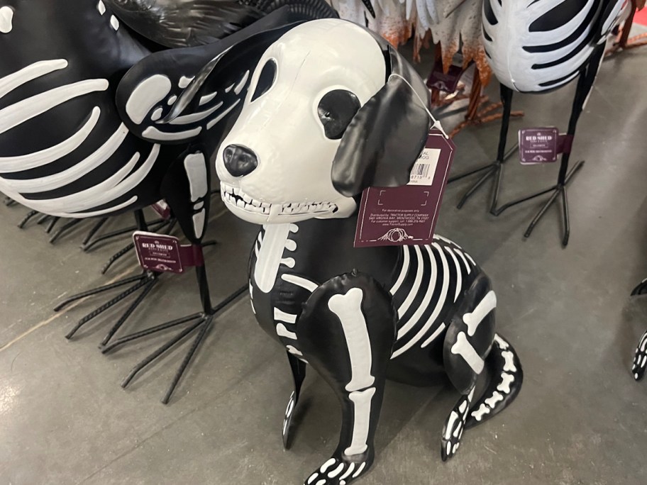 skeleton dog statue