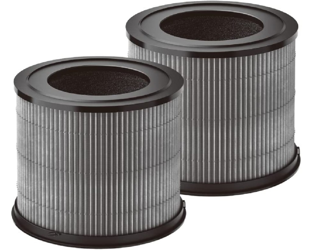 2 cylinder air filters