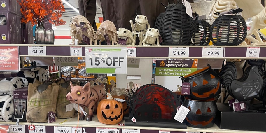 halloween decor on shelves