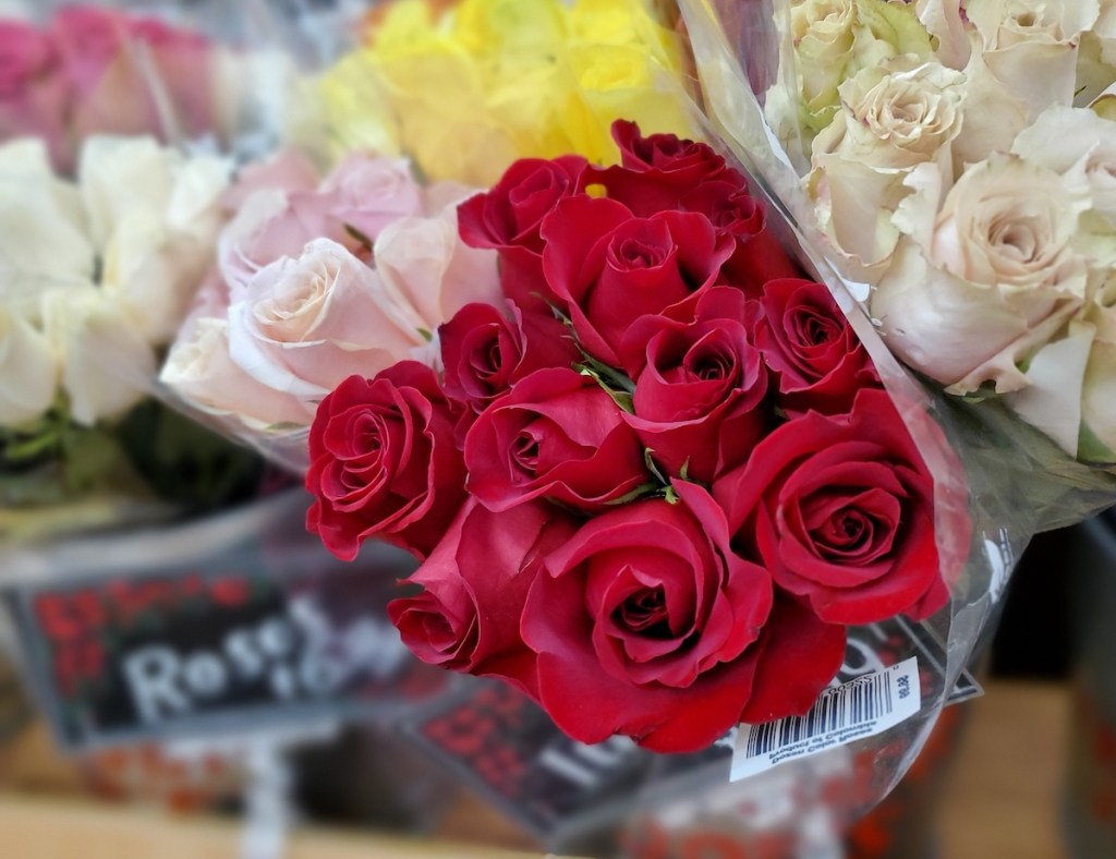bouquets of different colored roses