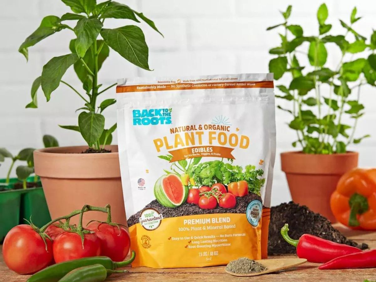 Bag of Back to the Roots Plant Food next to vegetables and potted plants