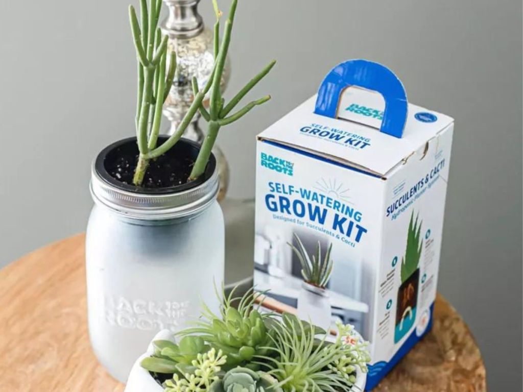 Mason jar self watering planter with succulent plant in it on a table next to a back to the roots grow kit box and a bowl of succulents