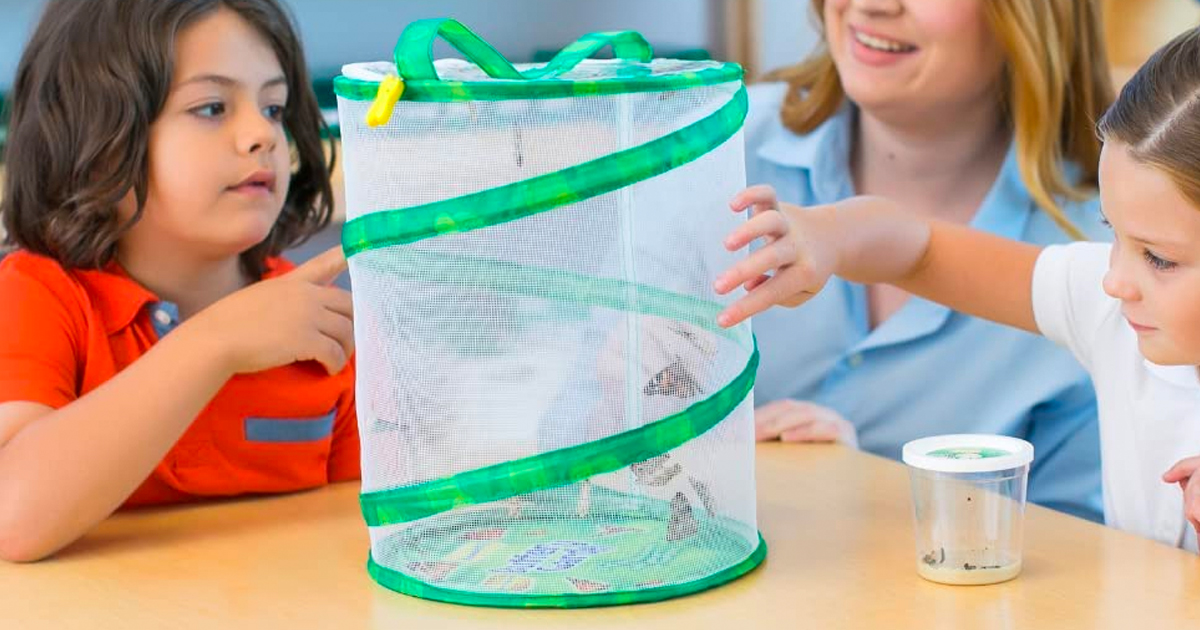 Insect Lore Butterfly Garden Only $24.99 on Amazon (Regularly $34)