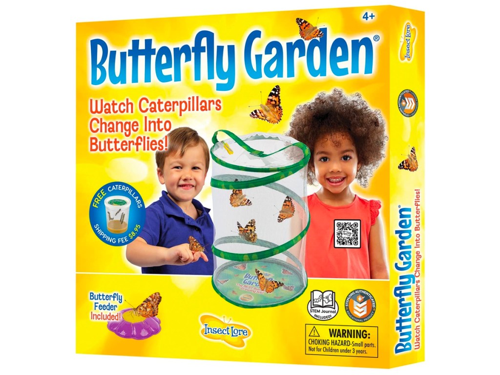 Butterfly Garden Box