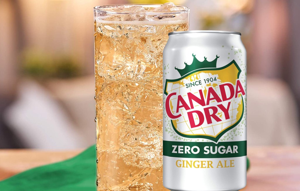 *HOT* Canada Dry Zero Sugar Ginger Ale 12-Pack ONLY $3 Shipped on