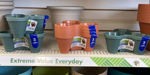 Dollar Tree Gardening Supplies Only $1.25, Including 3-Pot Planters & More!