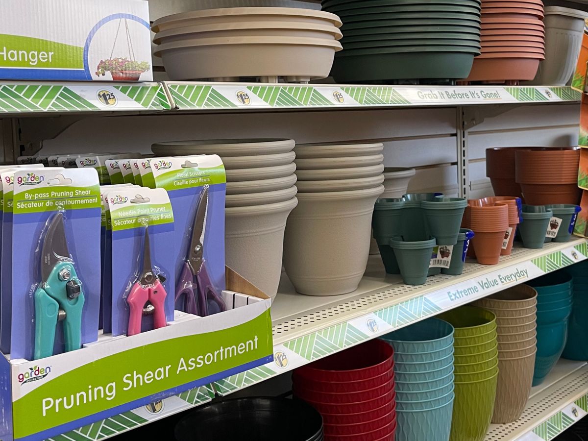 Dollar tree store flower pots