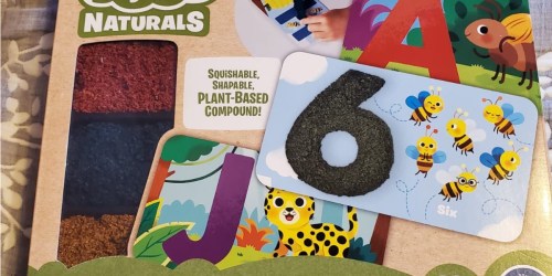 Educational Insights Playfoam Set Just $11.98 on Amazon (Regularly $17)