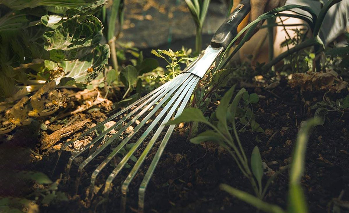 Fiskars Xact Hand Garden Rake in garden raking soil
