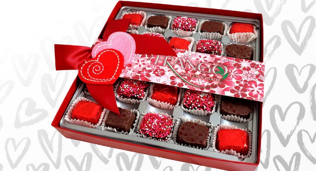 Frango Valentine's Day Decorated Heart Milk Mint 25-Piece Box of Chocolates
