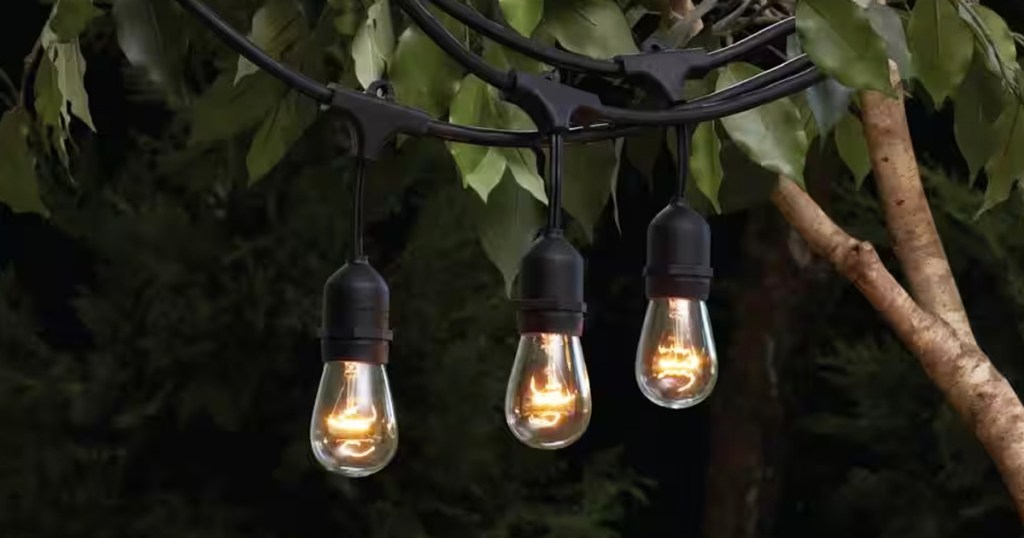 set of string lights in tree with three edison bulbs