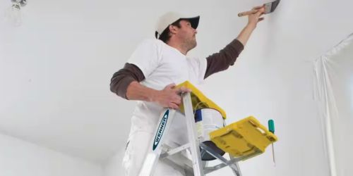 Werner 6′ Ladder w/ Tray & Paint Shelf Only $39.98 on HomeDepot.com (Regularly $90)
