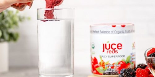 Terra Kai Organics Juce Mixes Only $19.99 Shipped on Costco.com – Vegan, Gluten-Free, & Non-GMO