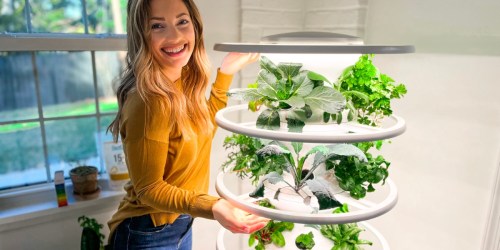 My Honest Review of the Lettuce Grow Hydroponic Garden (Score $50 OFF + Free Shipping)