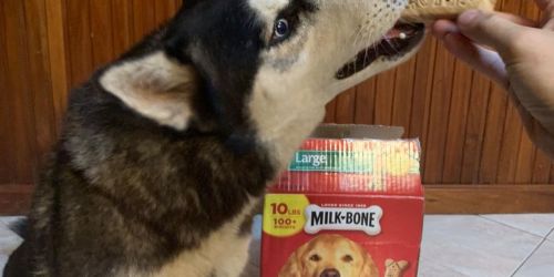 Milk-Bone Dog Treats Biscuits 10-Pound Box Only $9.74 Shipped on Amazon (Regularly $15)