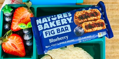 Nature’s Bakery Whole Wheat Fig Bars 36-Count Only $10.47 Shipped on Amazon