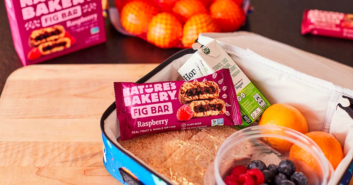 Nature's Bakery Whole Wheat Fig Bars 12-Count Only $ Shipped on Amazon  (Regularly $12) | Hip2Save