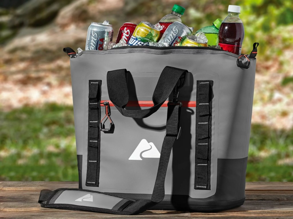 Ozark Trail 30-Can Welded Sport Tote Cooler