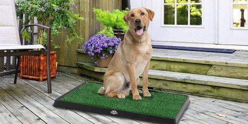Petmaker 3-Layer Artificial Grass Puppy Pee Training Pad Only $16.99 on Amazon (Reg. $40)