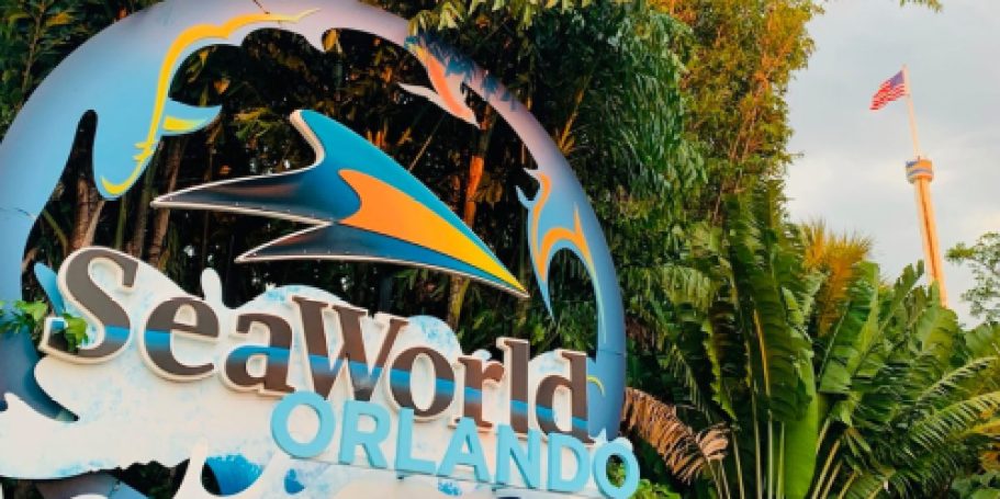 SeaWorld Tickets Sale | Get Over 50% Off Right Now!