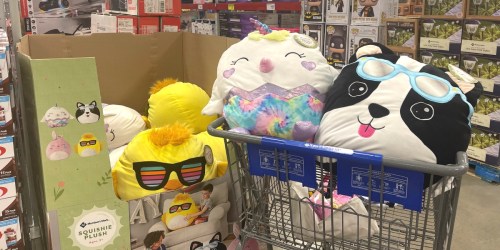 Sam’s Club Squishmallows Lookalikes Possibly Only $19.98 In-Club (Cute Spring Squishy Plush)