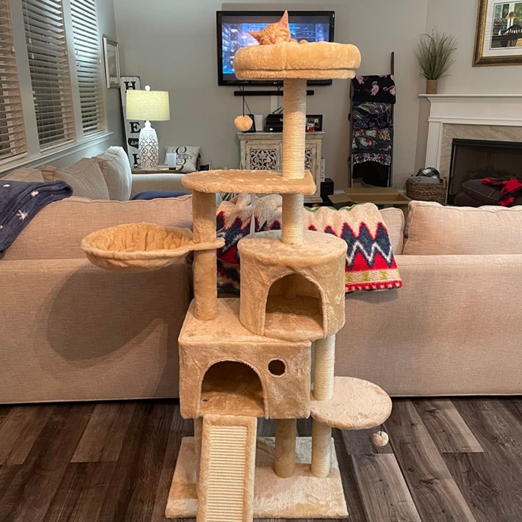 tan cat tree behind couch in living room