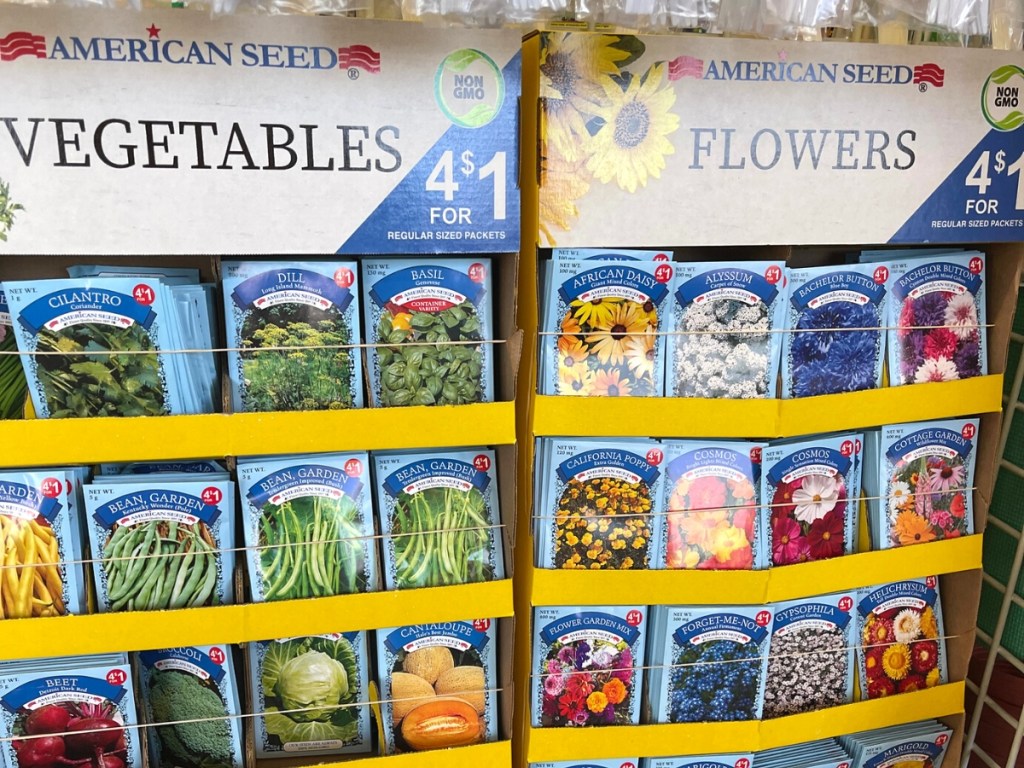Vegetable & Flower Seeds