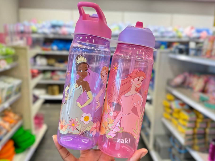 ZAK Princess Character Water Bottles 2-Pack