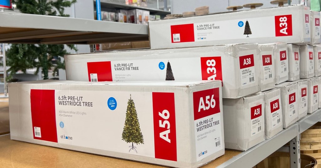 christmas trees in at home store