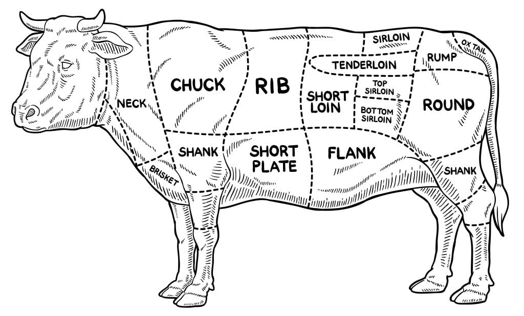 different cuts of beef on cow