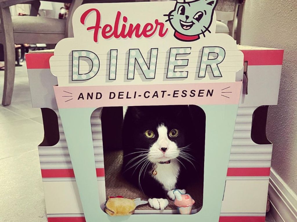 Feliner Diner cat scratch box