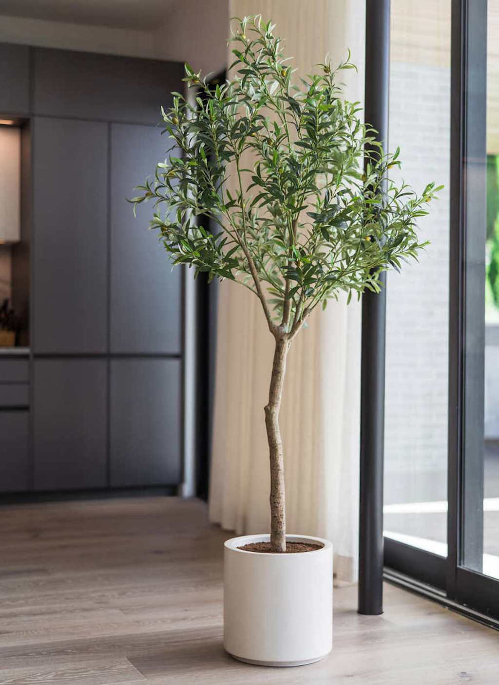 faux olive tree in white planter by large window 