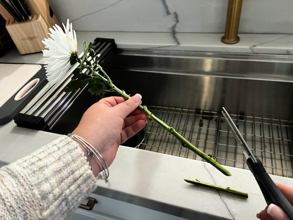 cutting stems of flowers