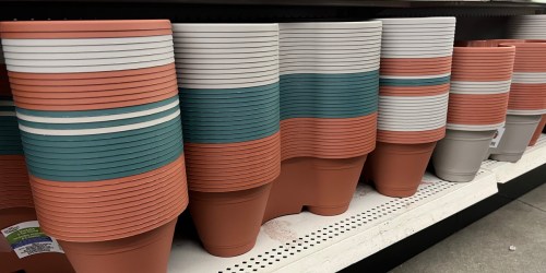 Dollar Tree Gardening Supplies Just $1.25 | Planters, Shovels, Seeds & Much More!